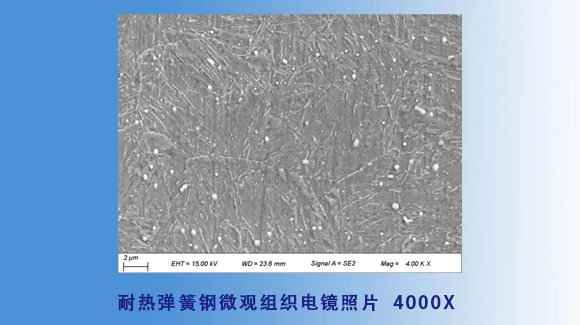 耐热弹簧钢微观组织电镜照片--4000X